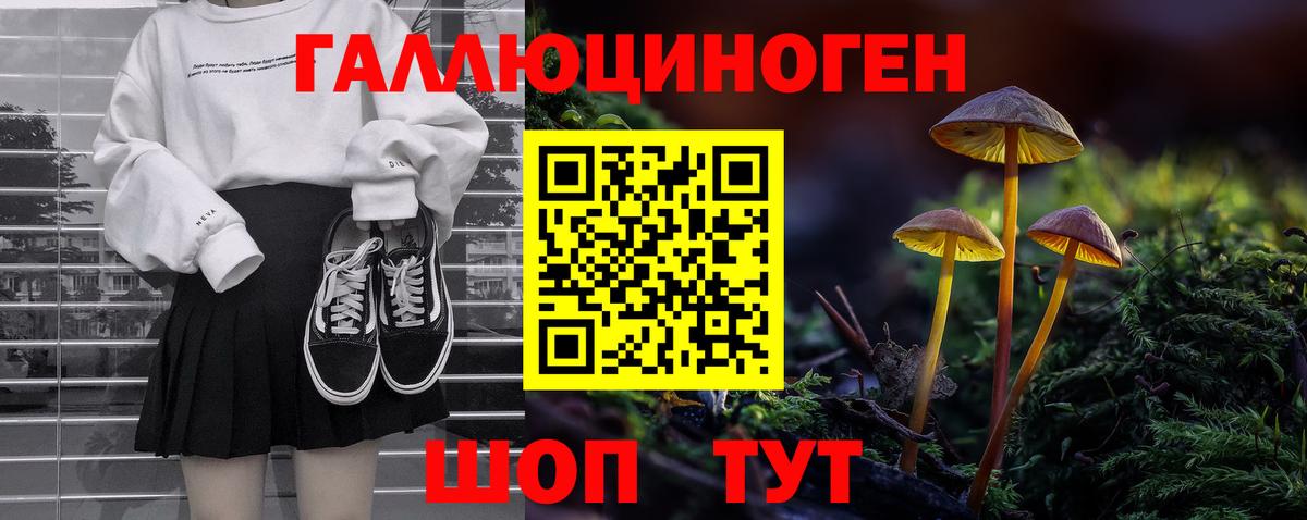 Псилоцибиновые грибы Cubensis Бийск